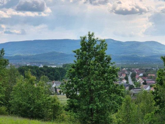 ПРОДАЖ ЗЕМЕЛЬНОЇ ДІЛЯНКИ З ФАНТАСТИЧНИМ ПАНОРАМНИМ КРАЄВИДОМ В ТЯЧЕВІ Тячев
