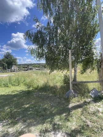 Продам земельну ділянку с. Левків - фото 1