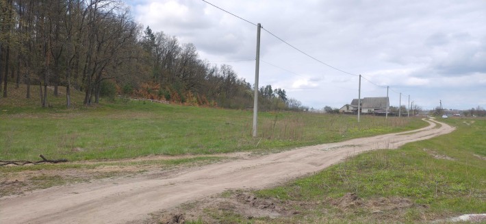 Продам земельні ділянки (ОСГ) в Левкові - фото 1