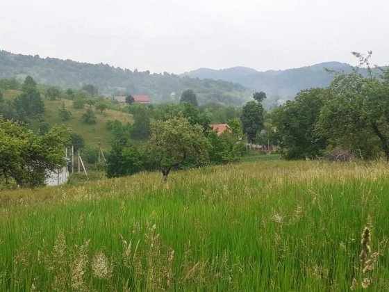 Продається земельна ділянка в Тячівських Лазах Тячев