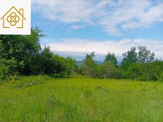 Мальовнича ділянка 10 соток для дачного будівництва Свалява Свалява