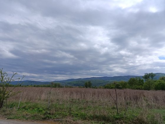 Ділянка -  61 сотка Свалява