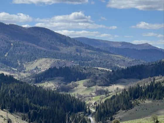 Продам земельні ділянки, будинки, квартири, Закарпаття Пилипець