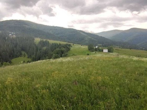 Продаж земельної ділянки Пилипець