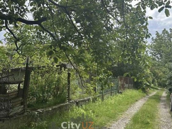 Продаж ділянки поруч з Ужгородом Оноковцы