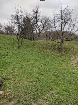 Діляночка рівна правильної форми - фото 1