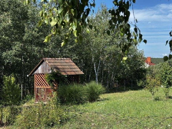 Ділянка на вулиці Березова Оноковцы