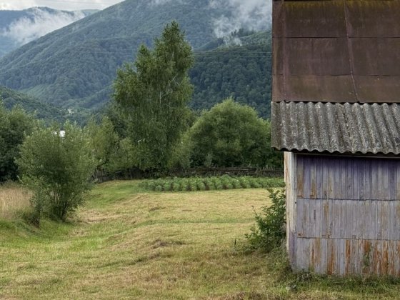 Продається ділянка з будинками у смт. Міжгірʼя Міжгір'я