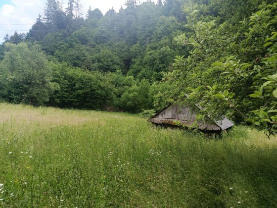 Земельна ділянка Міжгір'я