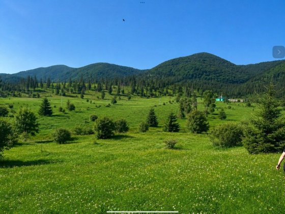3 земельні ділянки по 10 соток у Карпатах | с. Річка, Закарпаття Міжгір'я