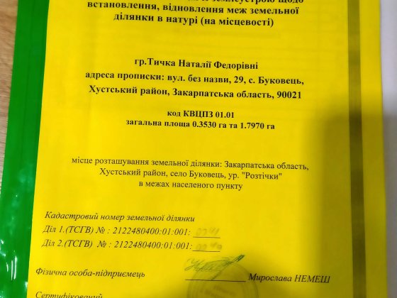 Продається земельна ділянка 200 соток Міжгір'я