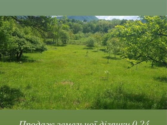 Продається приватизована земельна ділянка Велятино  під будівництво 0,24 га Велятино