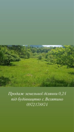 Продається приватизована земельна ділянка Велятино  під будівництво 0,24 га - фото 1