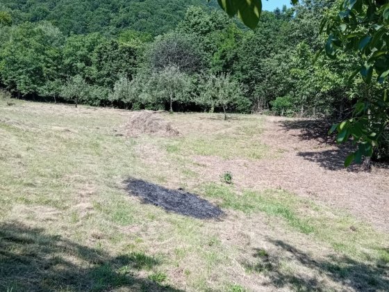 Приватизована ділянка с.Велятино Велятино