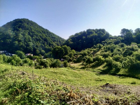 49,48 сотки під забудову в Шаяні, 7 ділянок, світло, два заїзди Шаян