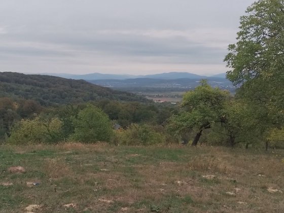 земля 40 соток Шаян Шаян