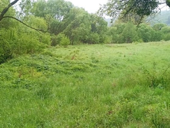 Продамо земельну ділянку село Голубине Голубиное