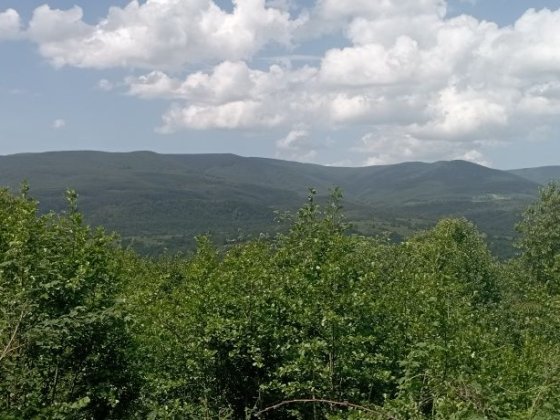 Продаю ділянку в горах Карпат Голубине Вілла Квітка Голубиное