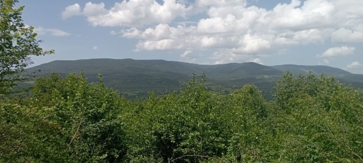 Продаю ділянку в горах Карпат Голубине Вілла Квітка - фото 1