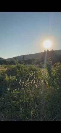 Земельна ділянка 0,40 Га   в селі Невицьке Ужгородського району під комерцію - фото 1