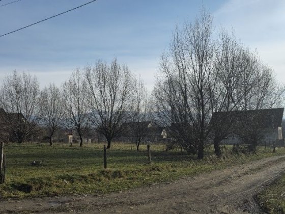 Продам земельну ділянку Великий Бичків для будівництва 0,8 га Великий Бычков