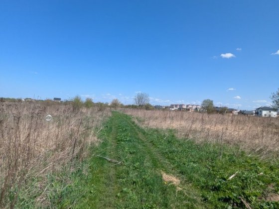 Продаж земельної ділянки під будівництво в Крихівцях Криховцы