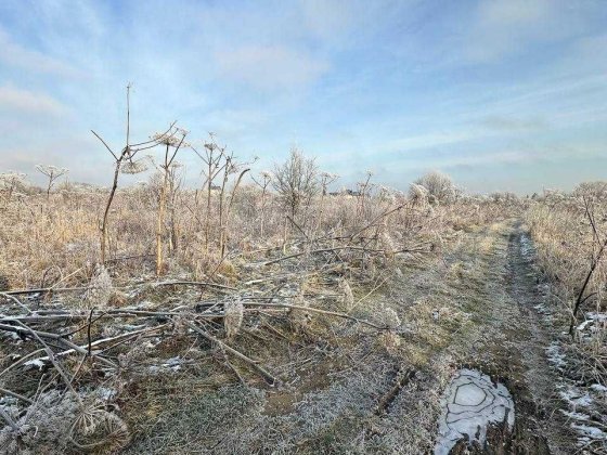 Продається земельна ділянка в крихівцях.Інвестиція Криховцы
