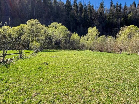 Продаж земельної ділянки Микуличин