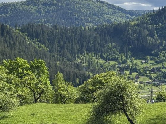 Продам ділянку в Горах Микуличин 7сотих ,Земля в Карпатах,будівництво Микуличин