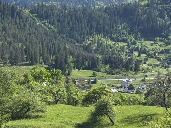 Земля в Карпатах, ділянка Микуличи, Яремче , Буковель,Власник, топова Микуличин
