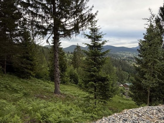 Ділянка з топовим Краєвидом в Карпатах, Микуличин, з підведеним світлом ,земля в горах Микуличин