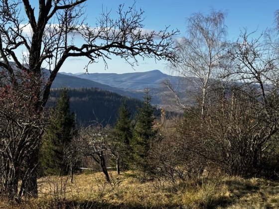 Земля в Микуличині земельна ділянка в Микуличині земля біля Буковеля Микуличин