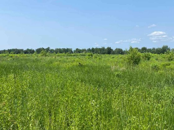 Земельна ділянка Угорники під будівництво Угорники