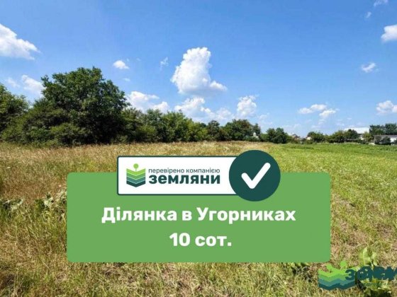 Ділянка 10 сот Угорники (7) Угорники