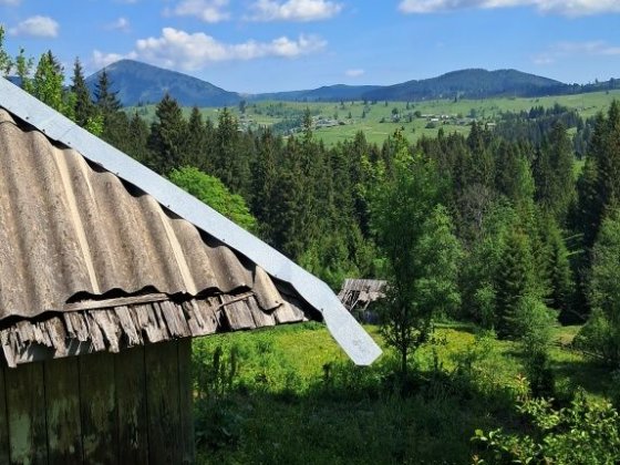 Земельна ділянка 650$ за соту