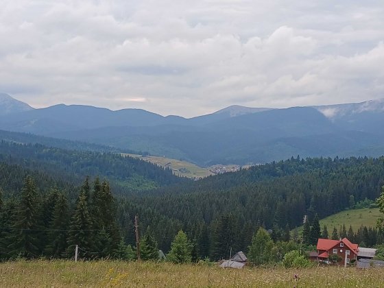 Продаж ексклюзивної земельної ділянки 2 Га в Карпатах із панорамою на Говерлу та Петрос Яблуница