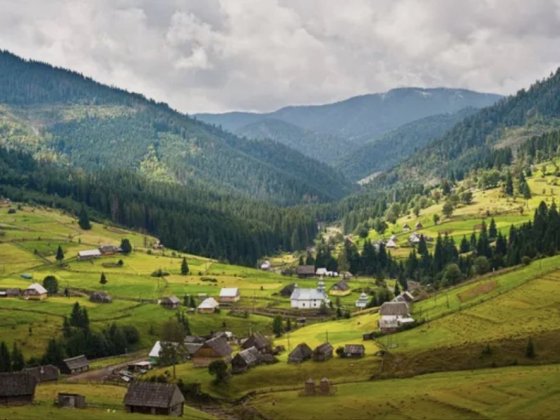 Продам земельну ділянку, в селі Яблуниця.