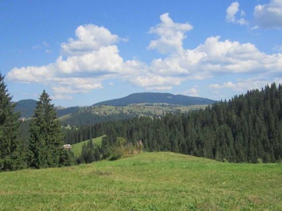 Ділянка 70 соток під ГОТЕЛЬ в Карпатах (8 км від Буковелю) поблизу асфальтованої дороги