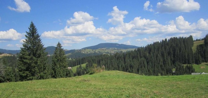 Ділянка 70 соток під ГОТЕЛЬ в Карпатах (8 км від Буковелю) поблизу асфальтованої дороги - фото 1