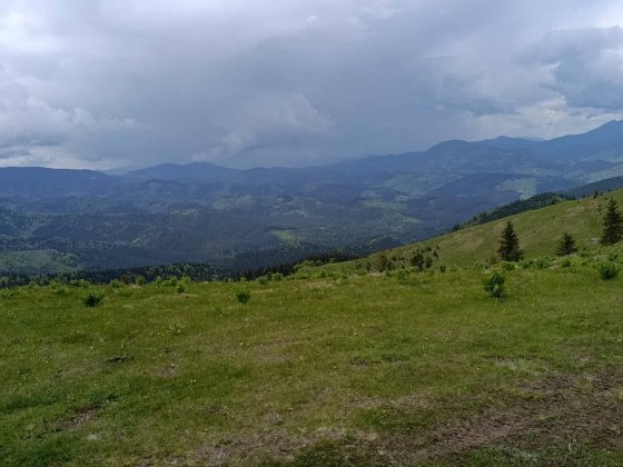 Дуже чудова ділянка, як для бізнесу так і для проживання