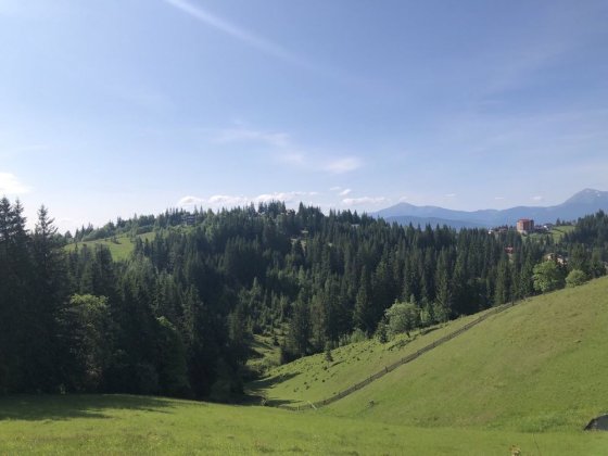 Продам земельну ділянку в с.Яблуниця