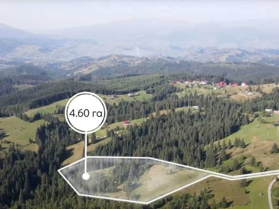 Земельна ділянка 4.63 га. в Яблуниці