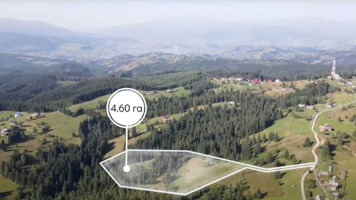 Земельна ділянка 4.63 га. в Яблуниці - фото 1