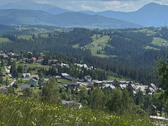 Продається Земельна ділянка в Яблуниці 20.48 сотих