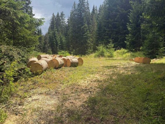 Продаж земельних ділянок у Яблуниці! Яблуниця