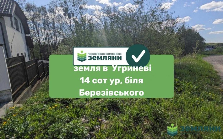 Продається земельна ділянка в Угринові 13 сот (1) - фото 1