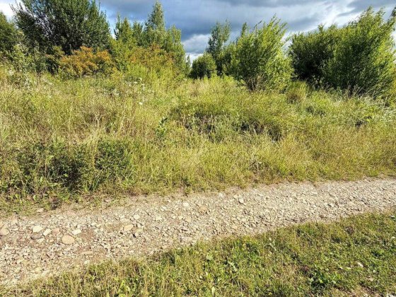 продаж ділянки 52сот село Угринів. Угринов