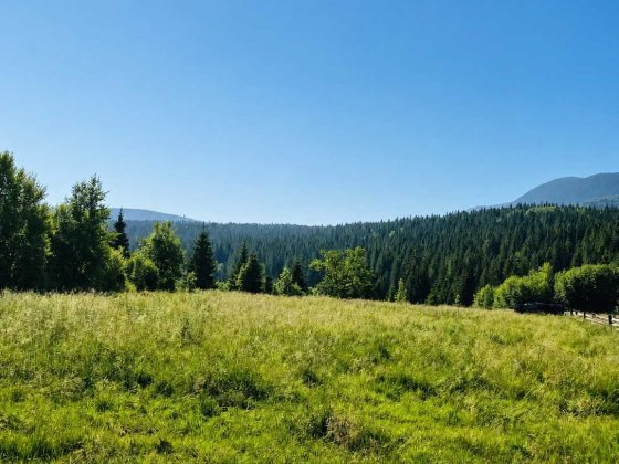 10 соток біля підніжжя Говерли | КПП Заросляк