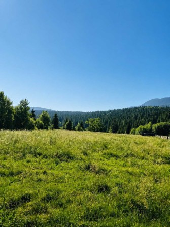 10 соток біля підніжжя Говерли | КПП Заросляк - фото 1