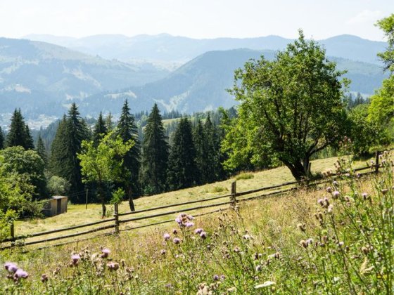 Продам земельну ділянку у Верховині, присілок Грибкова з краєвидом на Говерлу Верховина